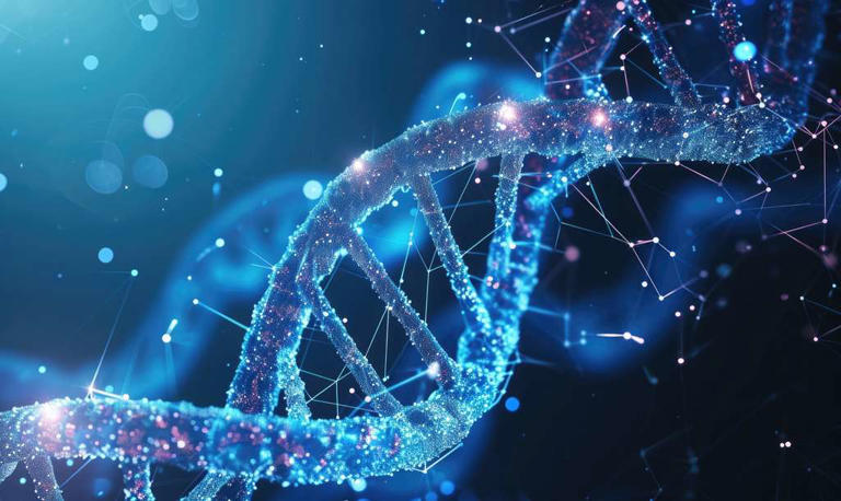 Une IA pourrait estimer l'âge biologique et les risques de démence via la voix