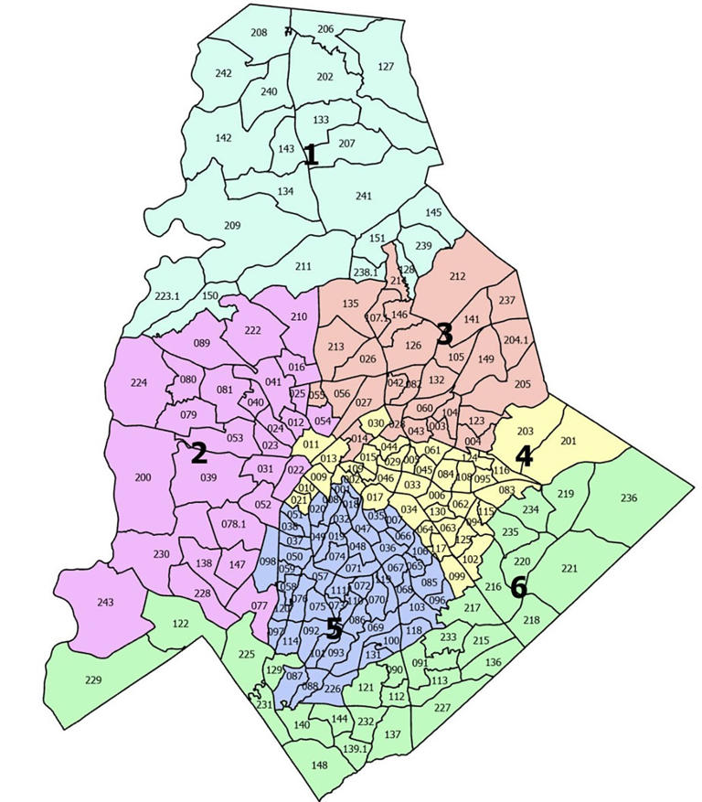 Charlotte's Democratic primaries: Who's on the ballot