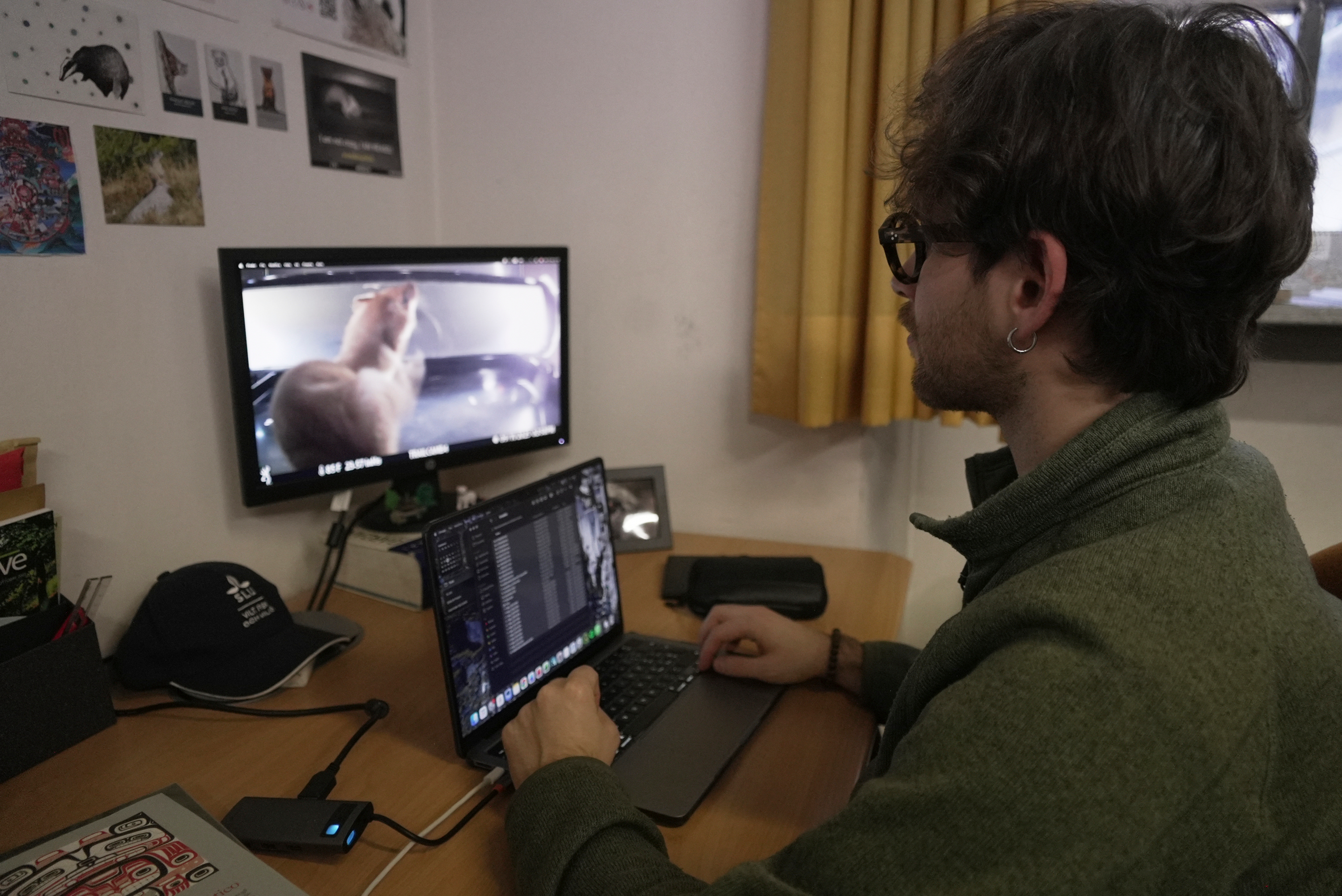 AA1Wd443 Olympic Mascot Threatened by Climate Change