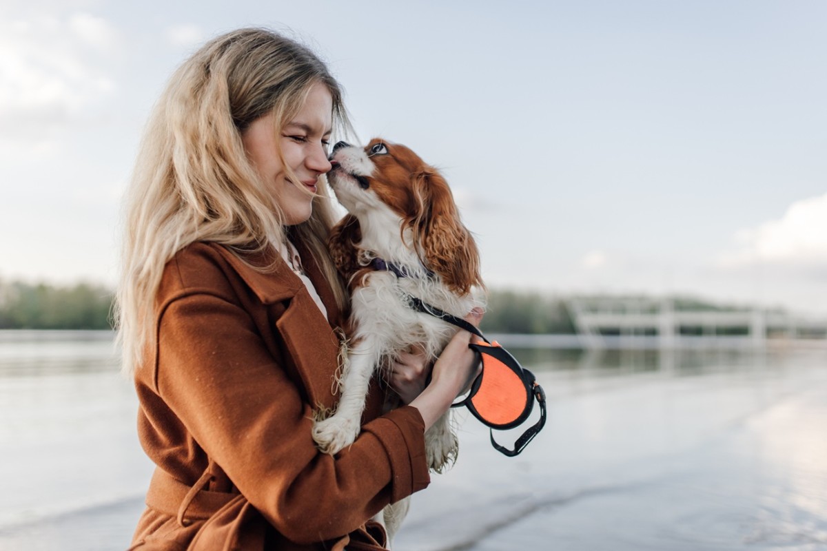 6 dog breeds that are built-in companions for pet parents