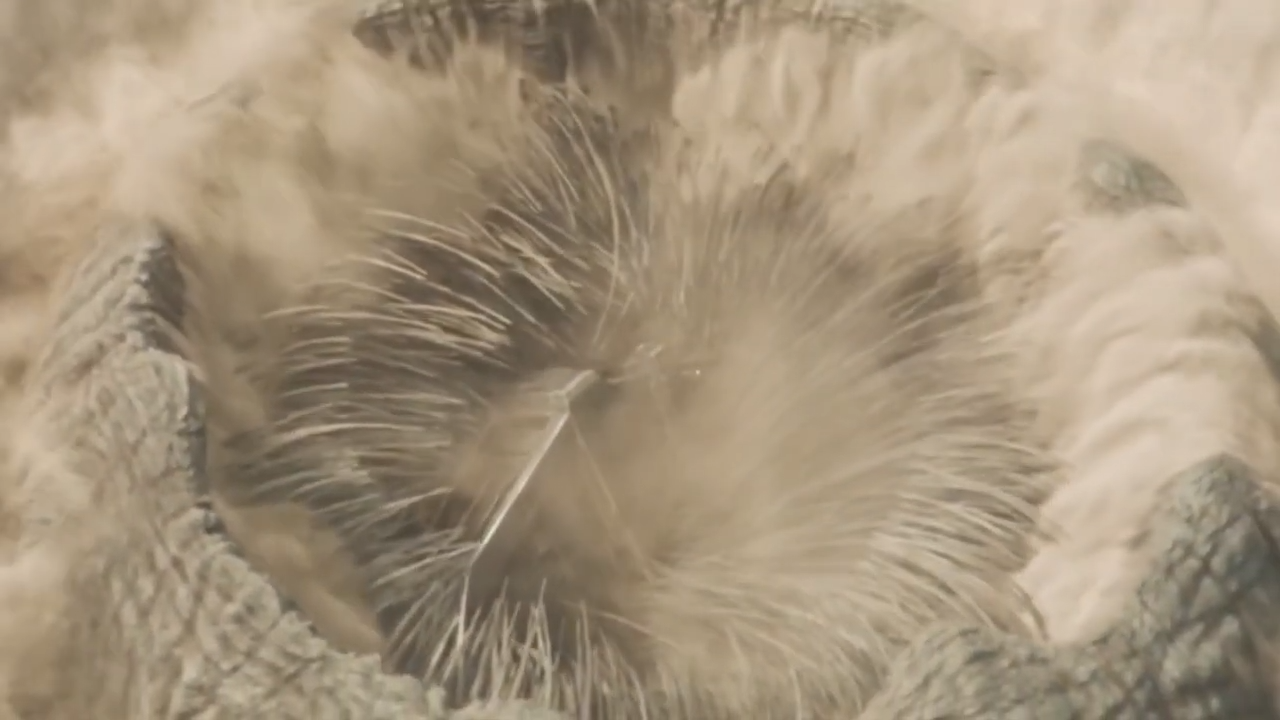 Sandworms shouldn’t exist – the science Dune ignores
