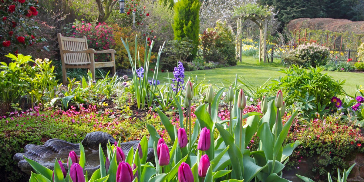 37 spring flowers to plant right this instant for a sensational garden