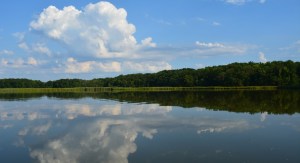 AA1WdafW $44M Boost Aims to Clean Bay, Revive Habitat Across Region