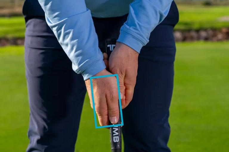 I've coached 3000 golfers... I'd recommend you try this putting grip ...