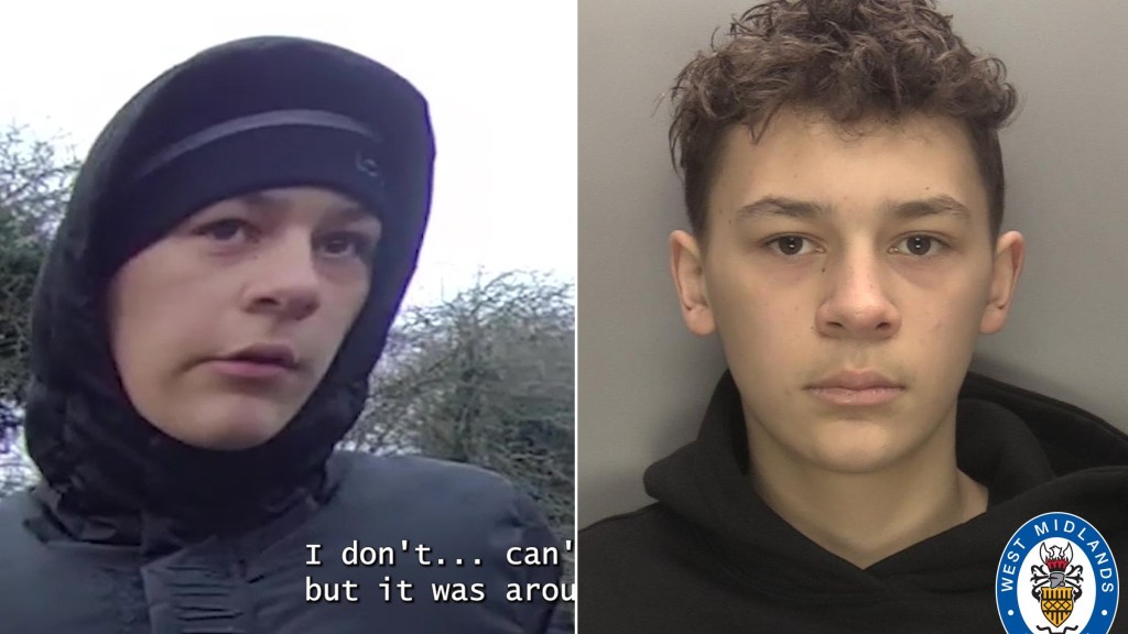 Teen, 15, who stabbed schoolboy to death in random attack unmasked by judge