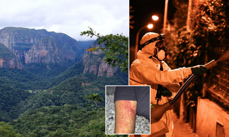 Trump administration adds another CDC travel advisory for deadly virus ...