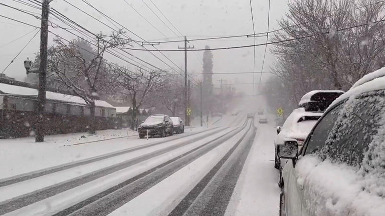 Seattle snow scorecard: 0 inches this winter so far (and counting)