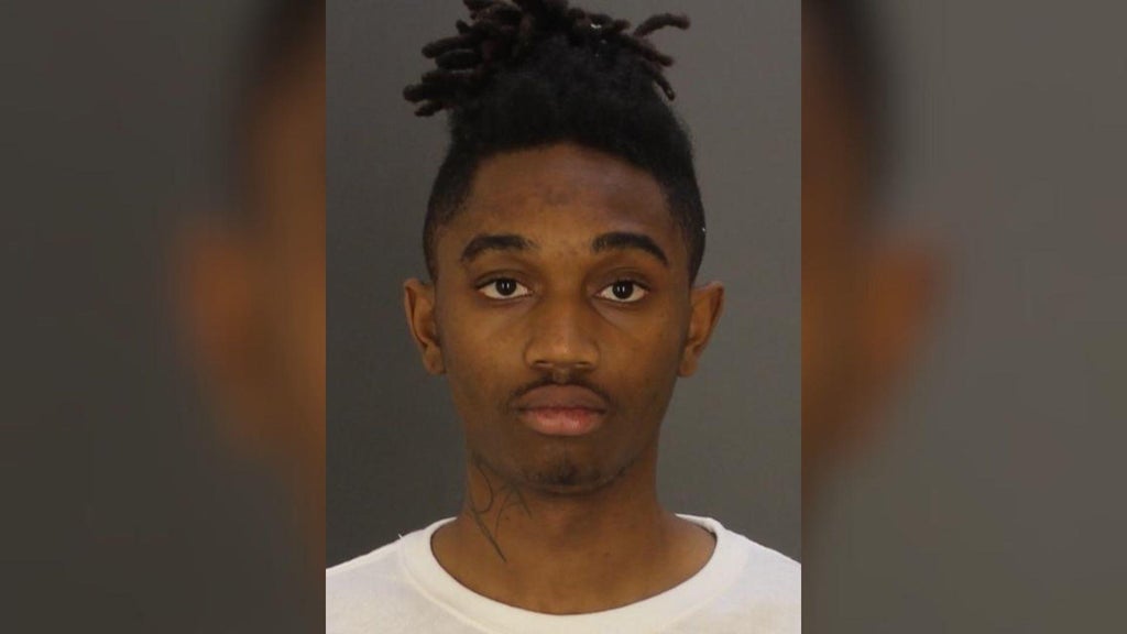 Maryland man pleads guilty to murder in connection with 2024 Baltimore ...