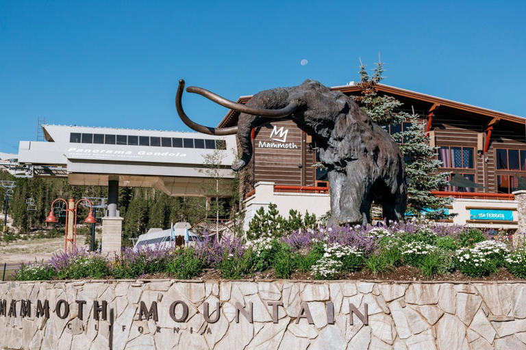 Why Dropout 2, Mammoth’s steepest run, was even more dangerous when ...
