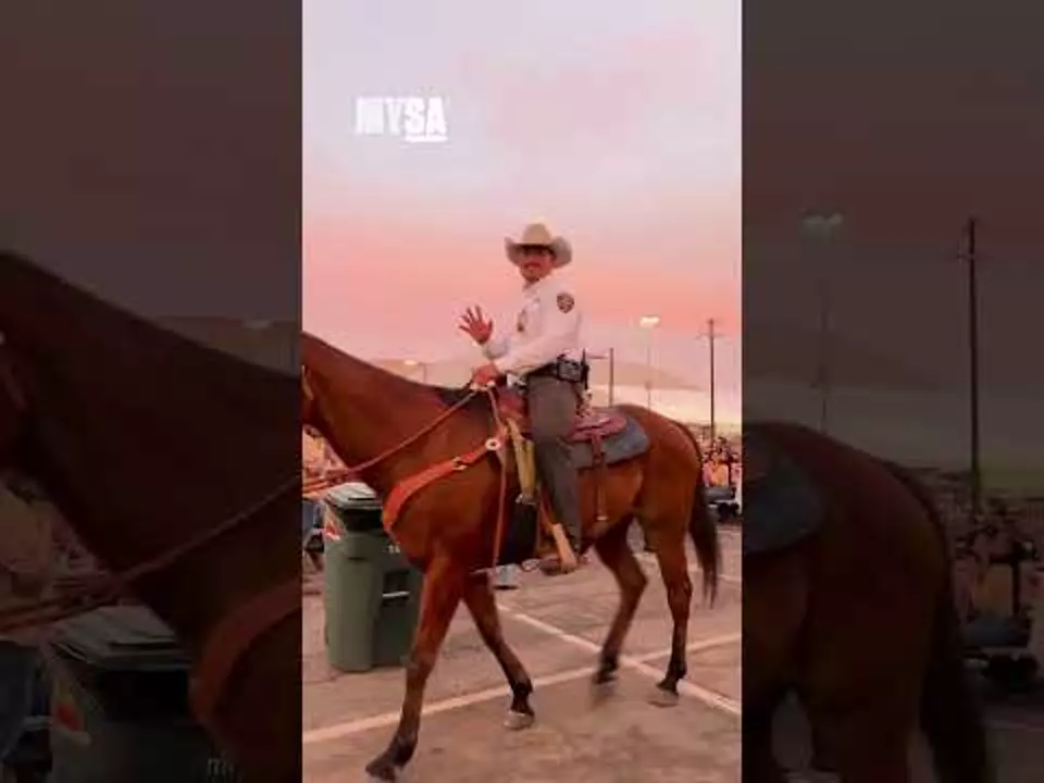 Let's rodeo, San Antonio! The 2026 San Antonio Stock Show & Rodeo is ...