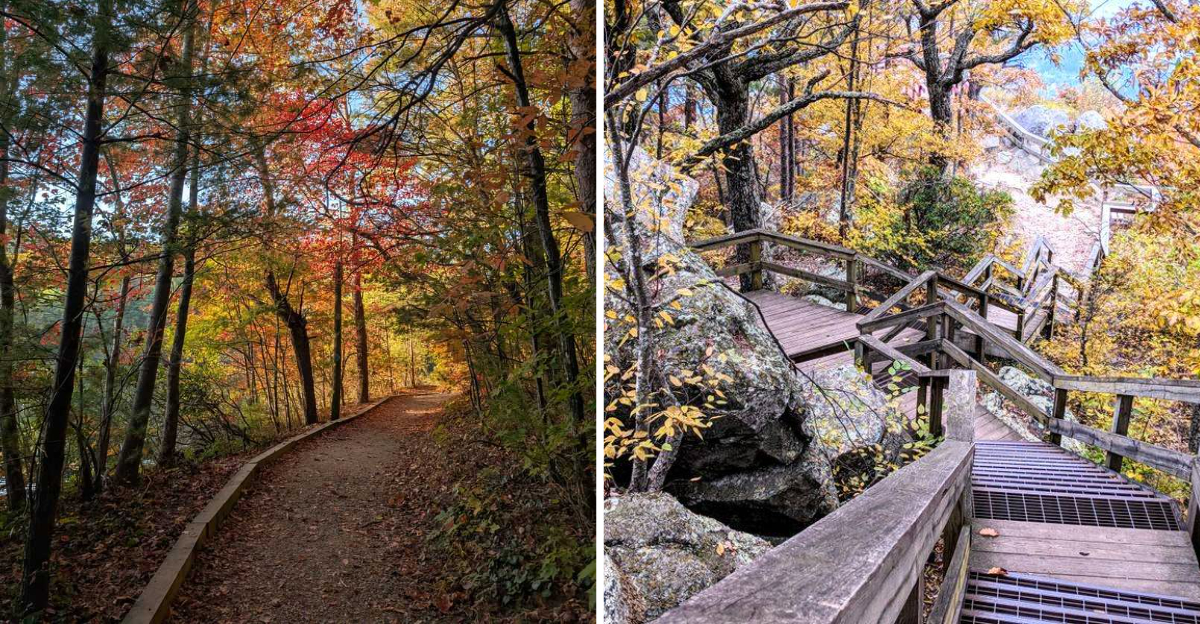 This underrated Georgia state park is a peaceful spring escape you’ll ...