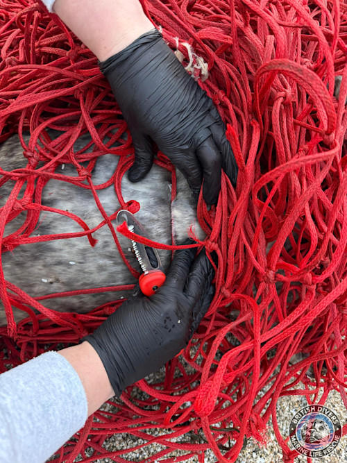 Moving pile of fishing net leads to record-breaking rescue
