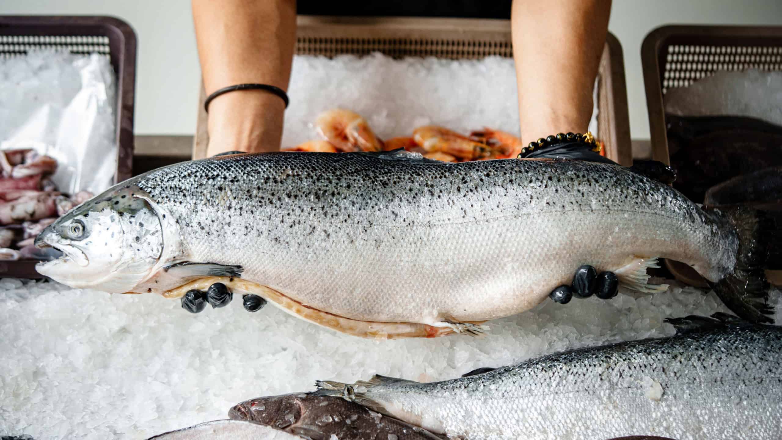 12 foods that boost your brain power and memory