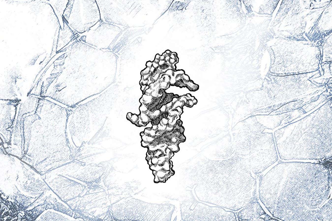 RNA strand that can almost self-replicate may be key to life's origins