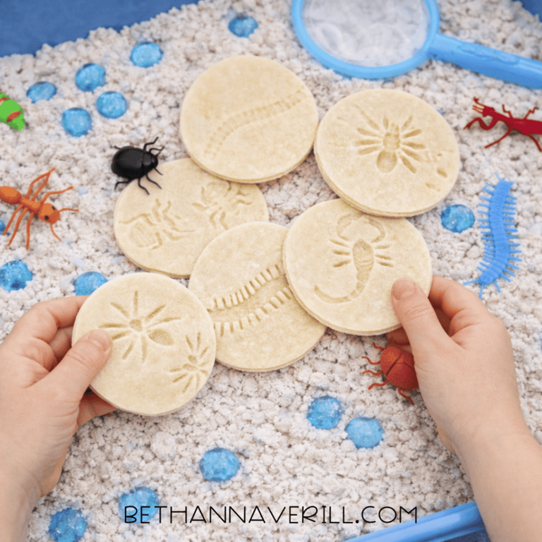 Bug fossil sensory bin