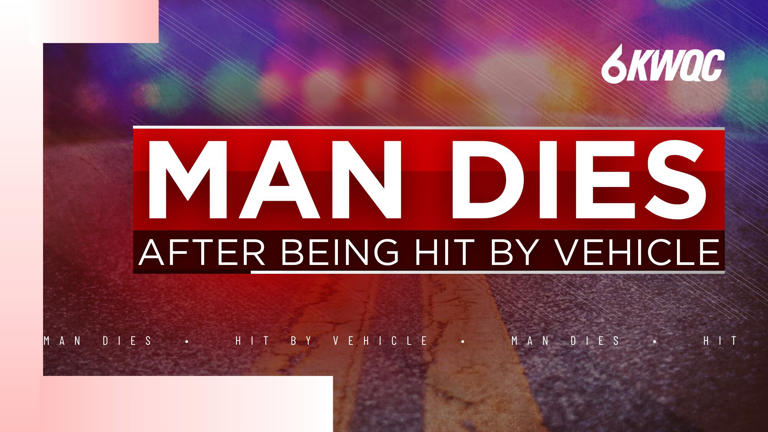Police: Man dies after being hit by vehicle