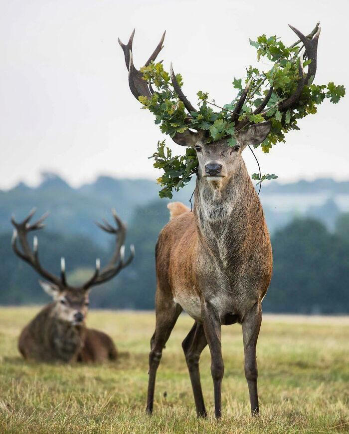 Nature is freaking lit: 49 pics to prove that nature never ceases to amaze