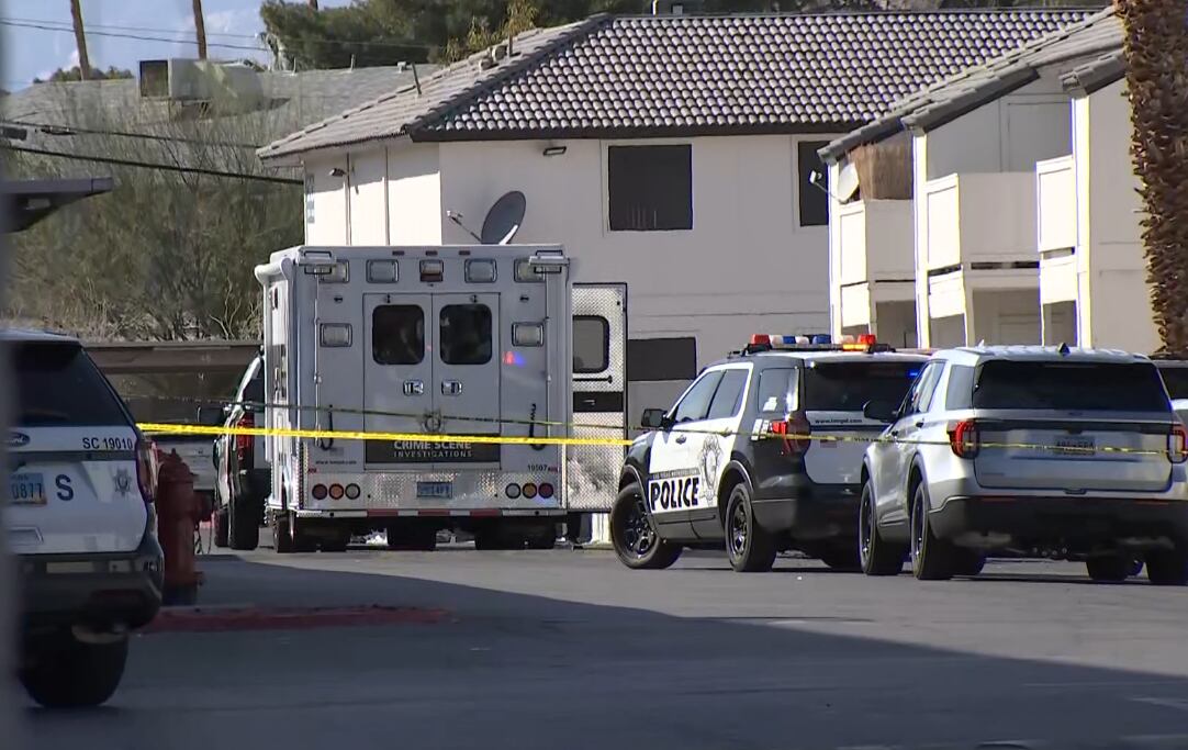 Man shoots, kills roommate in south Las Vegas Valley, police say