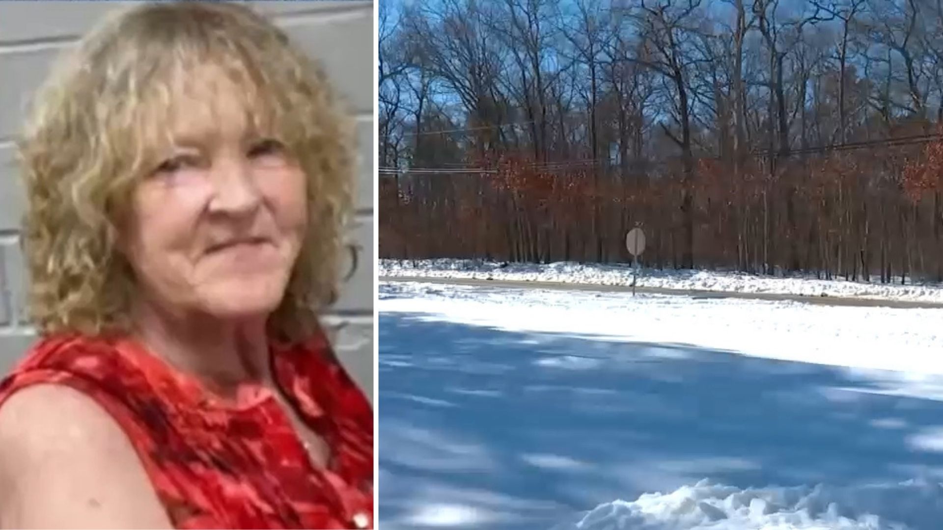 Body found in woods in Manorville identified as missing woman ...