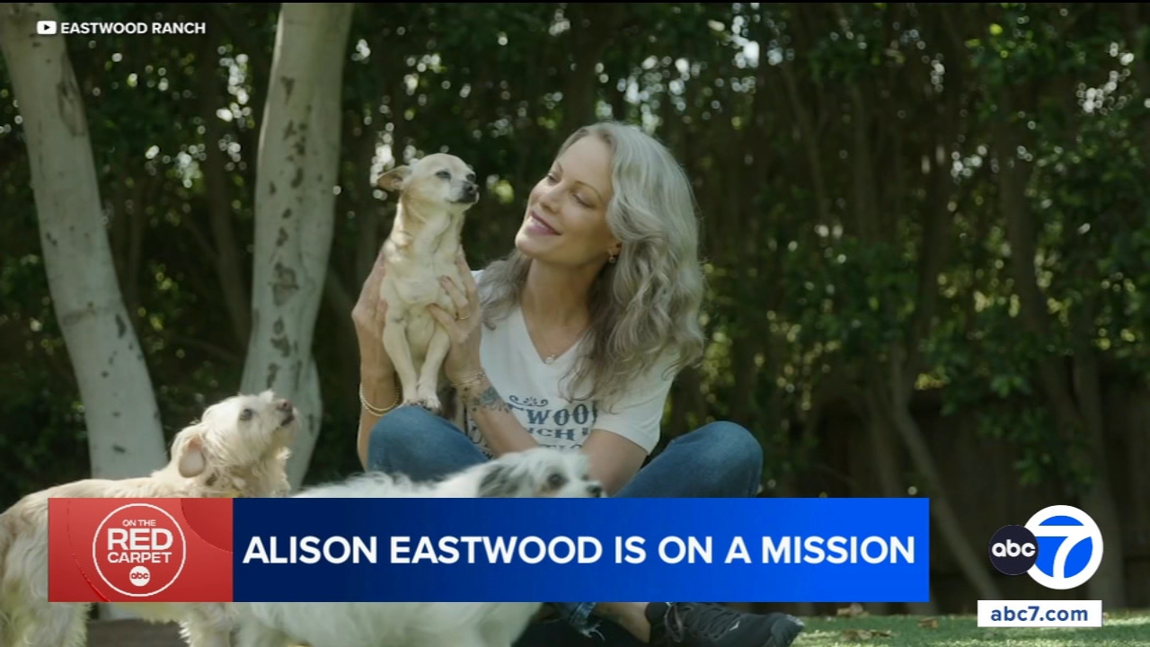 Alison Eastwood hosting Valentine's Day pet adoption event at Eastwood ...