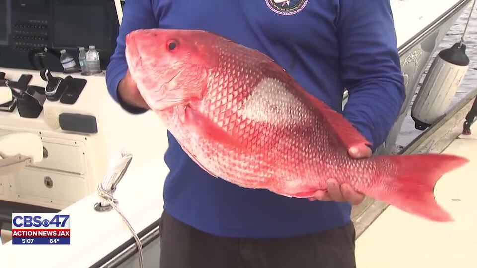 ‘It’s our resource’: Florida’s East Coast could see longest red snapper ...