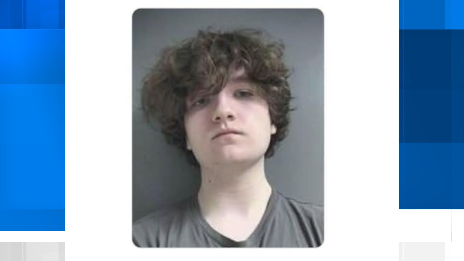Teen charged with making terroristic threat to Brindlee Mountain High ...