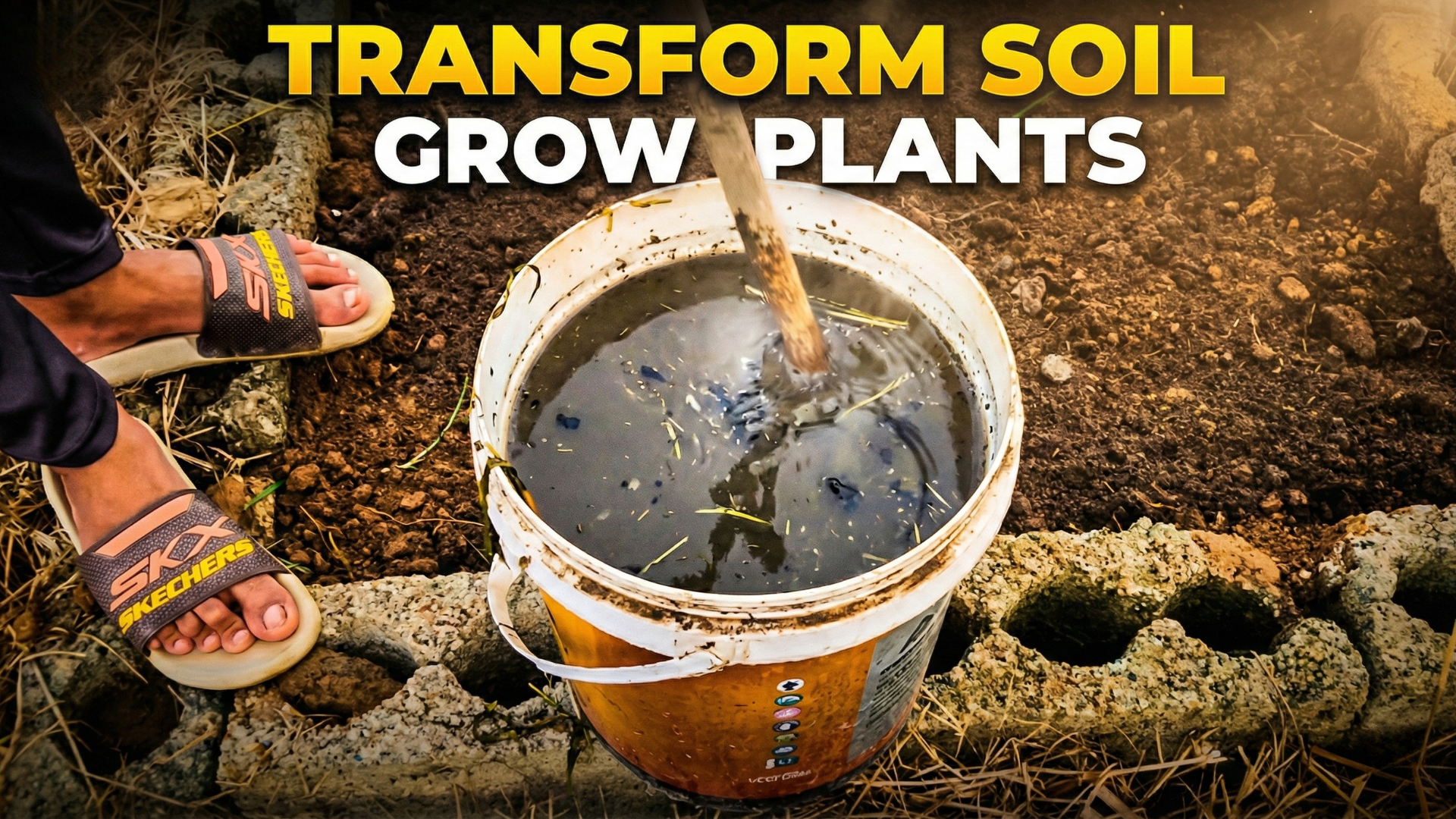 the-secret-to-transforming-poor-soil-into-a-fertile-garden
