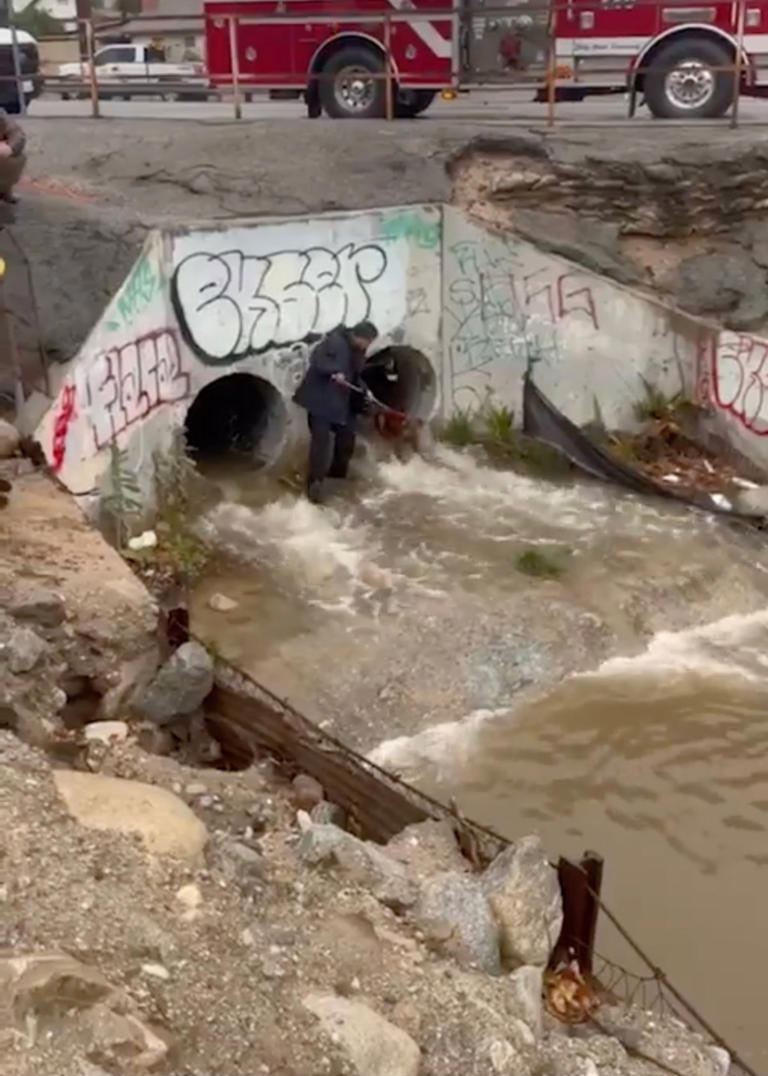 Video shows firefighters working to rescue dog stuck in storm drain ...