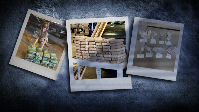 Interdicting I-10: Harrison County deputies targeting drug smugglers ...