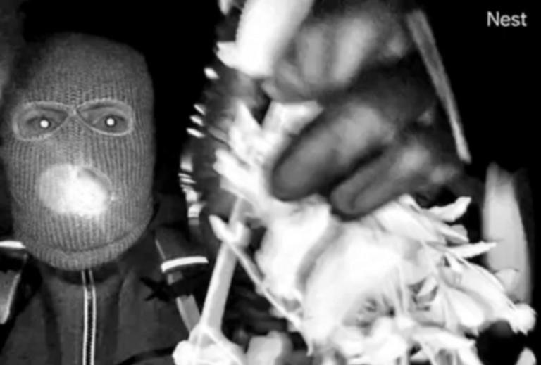 FBI gives description of masked suspect at Nancy Guthrie home, ups reward