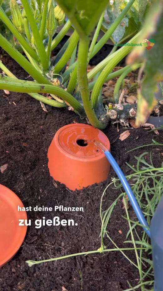 Kafigtur Selber Bauen