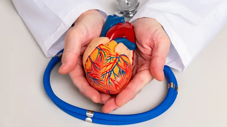Especialistas alertam que refrigerantes, licores, sucos industrializados e carnes processadas favorecem inflamações e o acúmulo de gordura nos vasos sanguíneos. O consumo frequente pode aumentar o risco de infarto, AVC e outras doenças cardiovasculares.