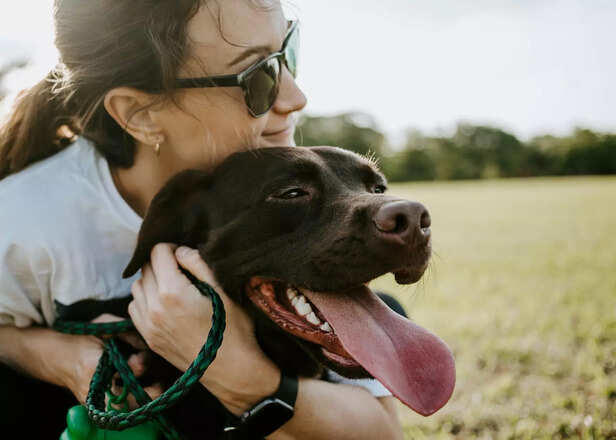 Small daily habits that can add years to your indoor pet’s life