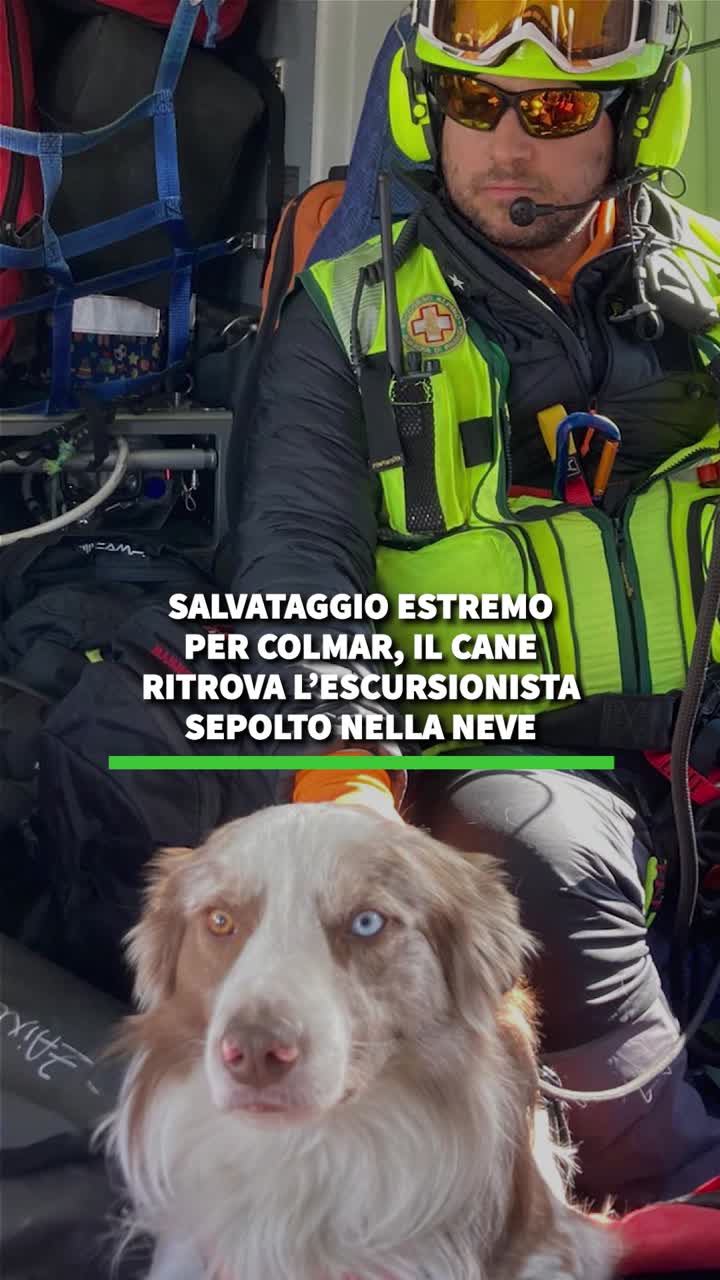 Salvataggio estremo per Colmar, il cane ritrova l'escursionista sepolto ...
