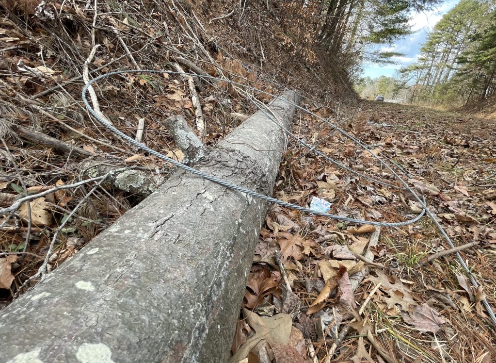 Answer Man: ‘Radical tree trimming’ by Duke Energy contractors in ...