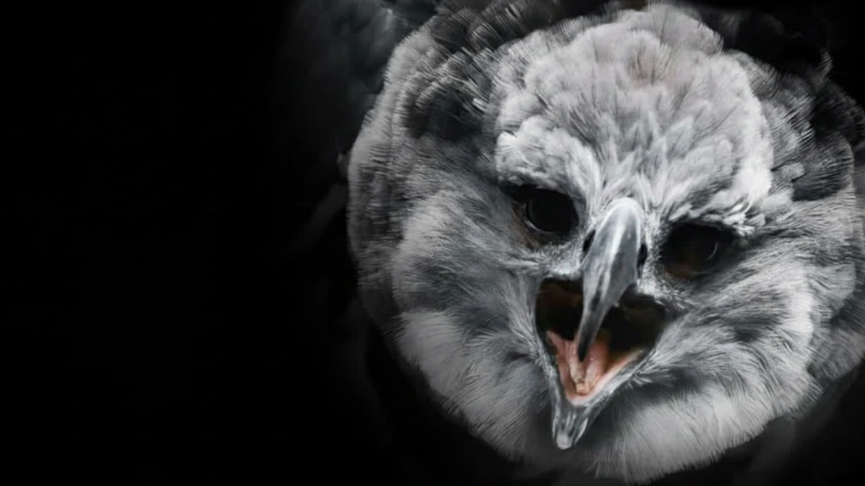 This animal has claws bigger than a grizzly’s – built to kill
