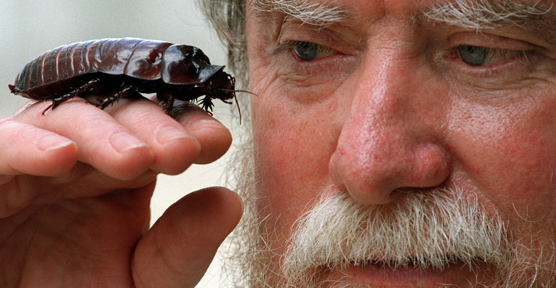 The science of why cockroaches make your skin crawl