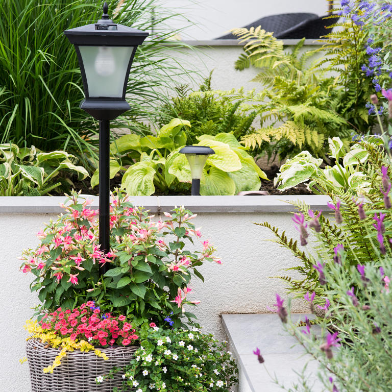 What is the bento garden trend? Create a ‘lunchbox’ garden with these ...