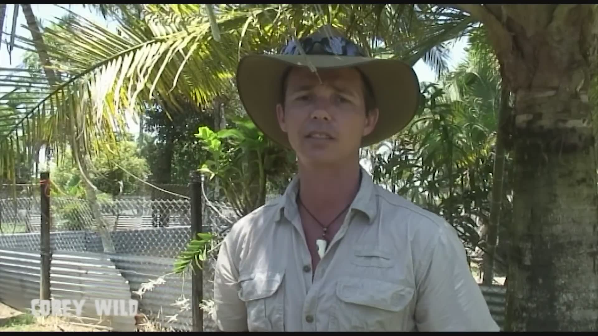 Ranking Australia's most dangerous wildlife from snakes to spiders to ...