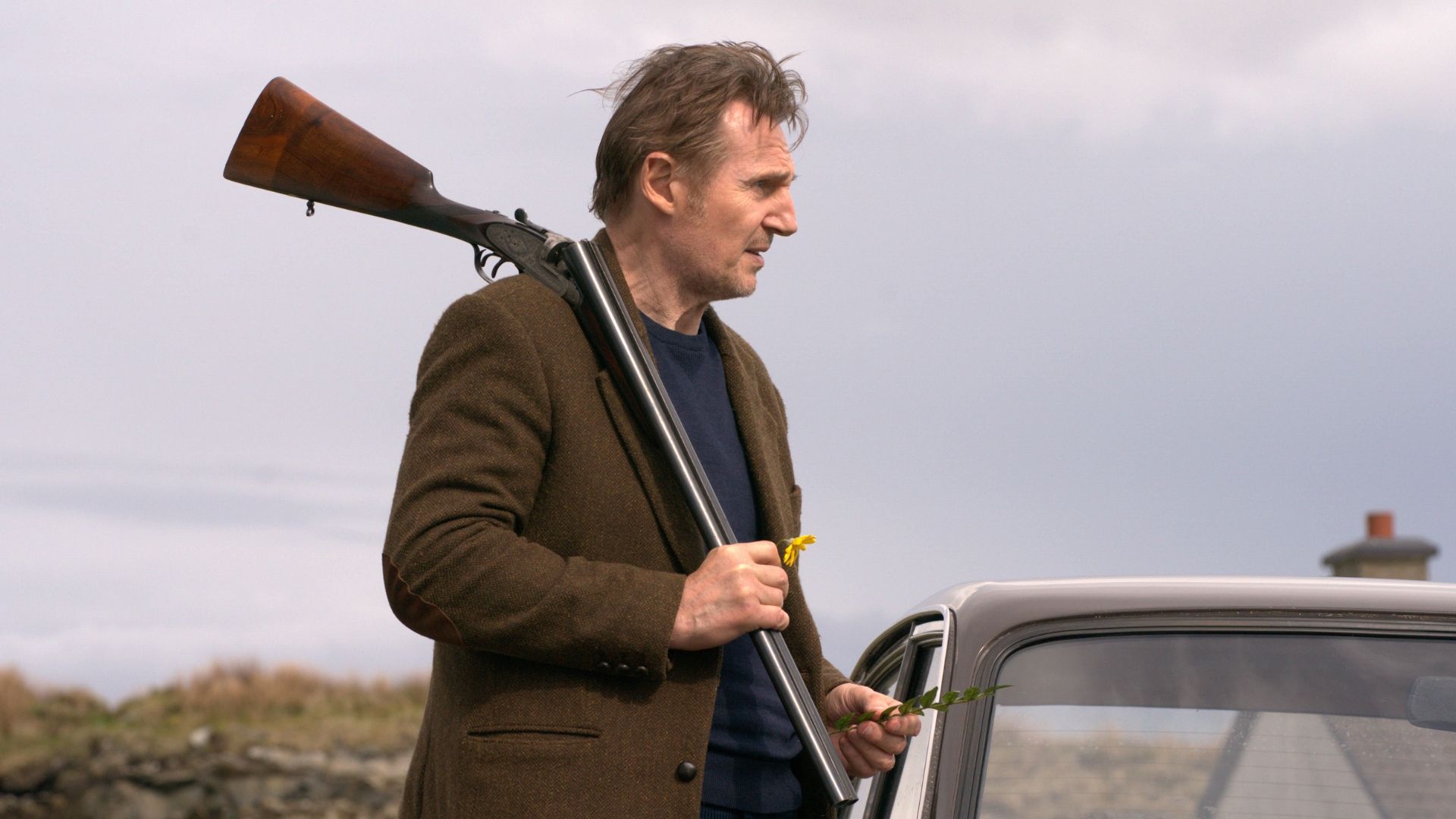 Liam Neeson's underrated box office flop action thriller 'In the Land ...