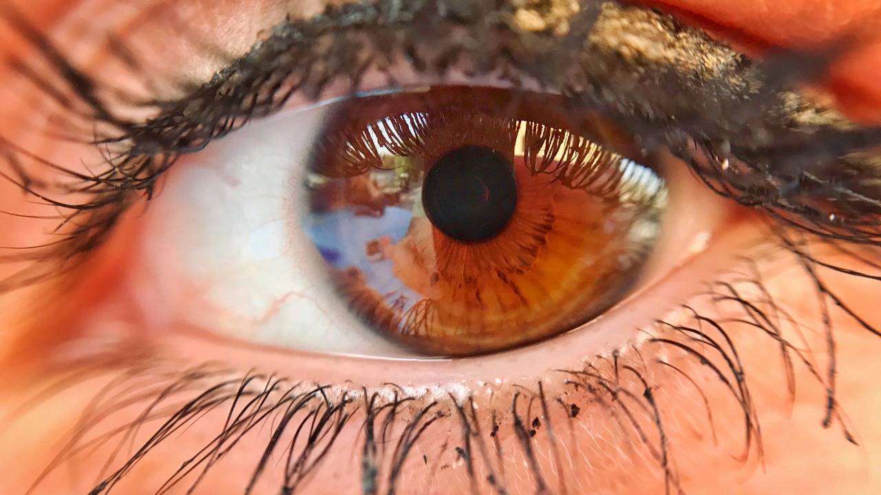 Your eyes have a blind spot that could expose true consciousness