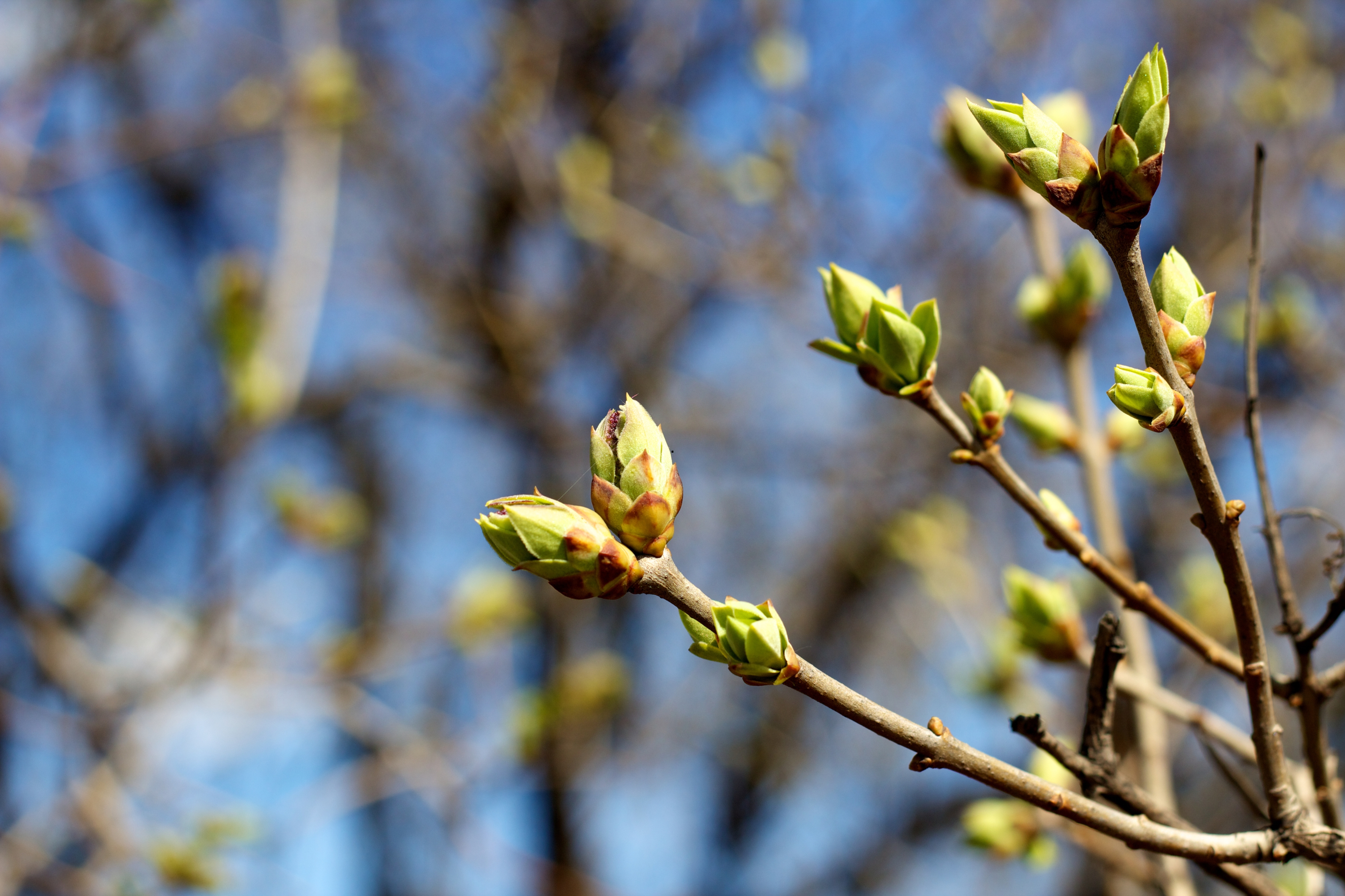 When is spring 2026? Here's when winter officially ends - astronomical ...
