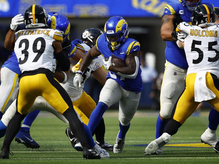 Roughriders sign former NFL running back Darrell Henderson