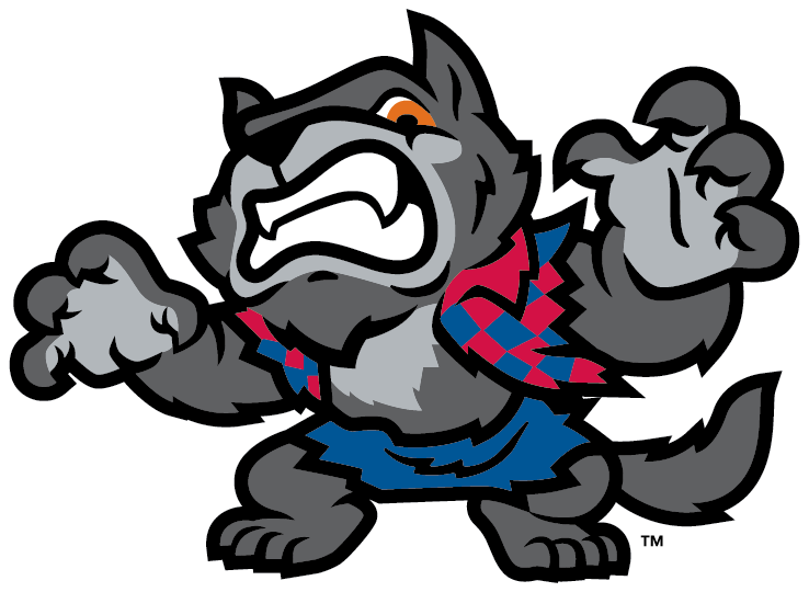 Lynchburg Hillcats baseball team rolls out new name