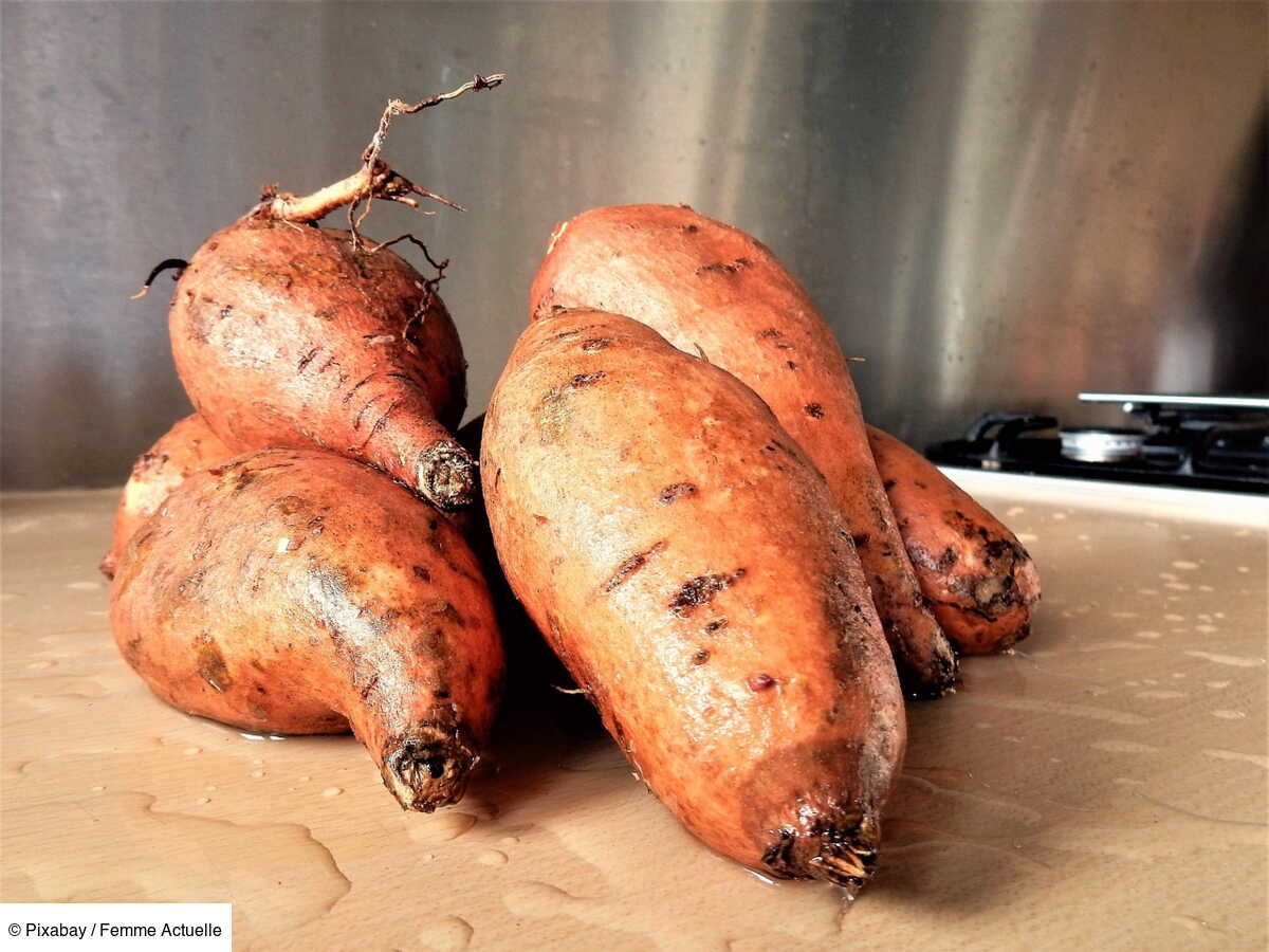 Faire pousser des patates douces ? Rien de plus facile ! Voici la — free download