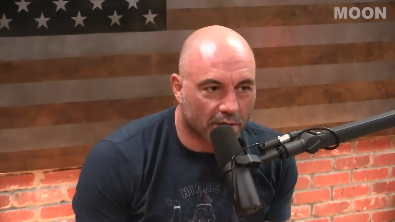 Joe Rogan exposed the mushroom mafia - and it got weird