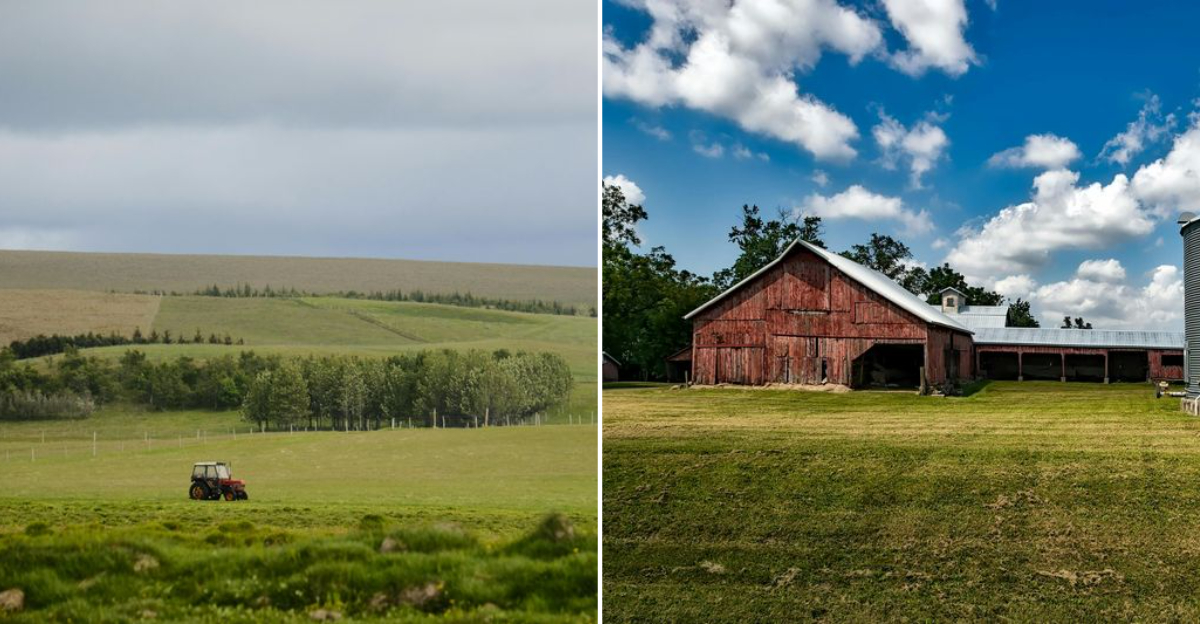 What the rural Quaker community in Iowa is really like