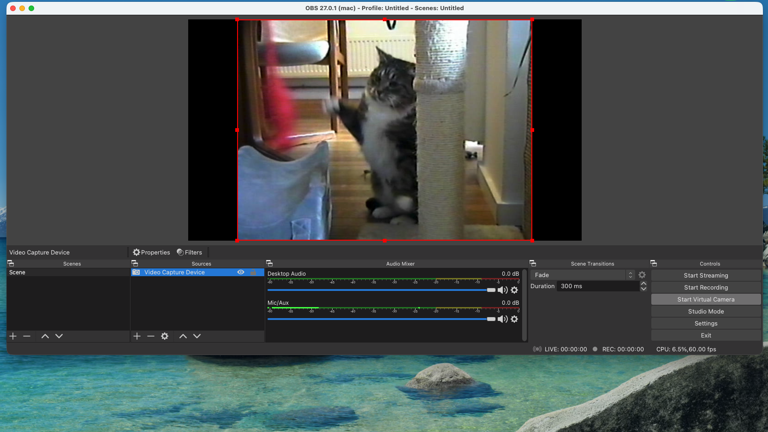 DigitNow video capture review – a simple dongle for digitizing your old ...