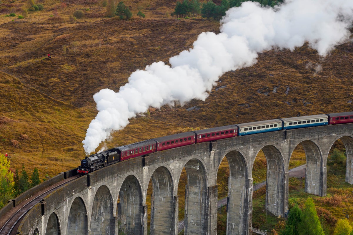 The real-life Hogwarts Express steam train at risk of cuts