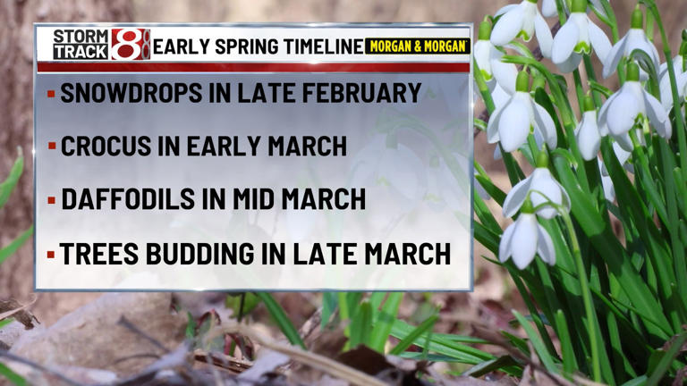 First signs of spring beginning to show across central Indiana